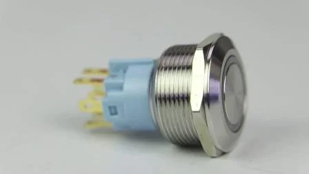 40 mm 10-poliger DPDT-Momentan-12-V-LED-Drucktastenschalter aus Metall