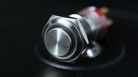 Heißer Verkauf Hban 25mm 12V Rote LED-Leuchten Ring Momentary Ring-Beleuchteter Power Push Button Flachschalter