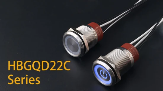 Hochwertiger 10-A-12-V-Zwei-Schließer-Ring-Beleuchtungs-Momentan-Druckknopf-25-mm-Schalter IP67