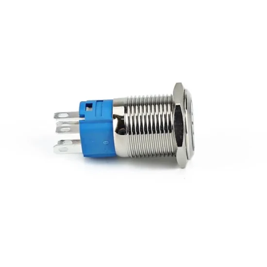 Xdl17-22nae15/C 22 mm ringbeleuchteter Edelstahl-Metall-Drucktastenschalter